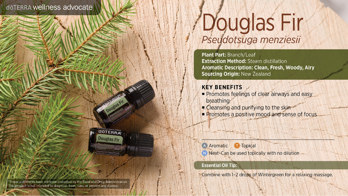 Doterra duglász fenyő douglas fir